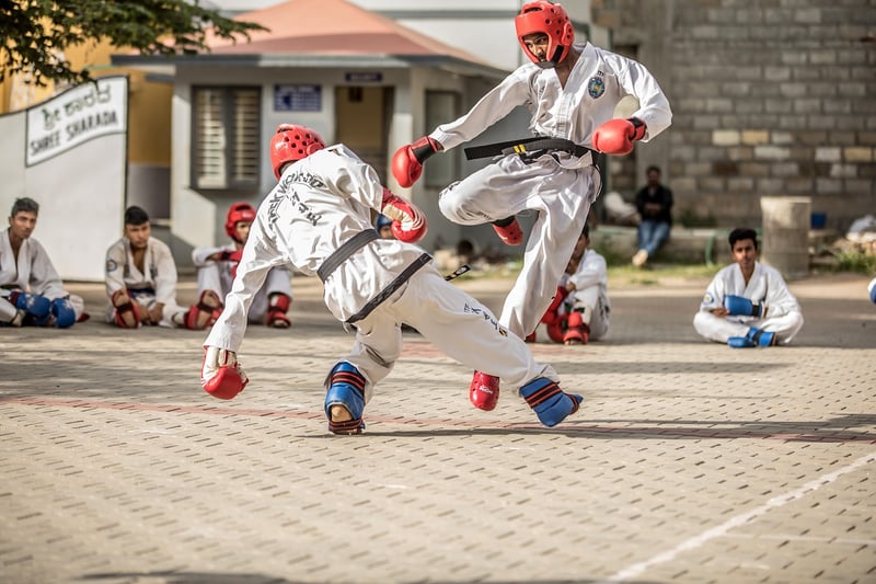 Martial Arts Training